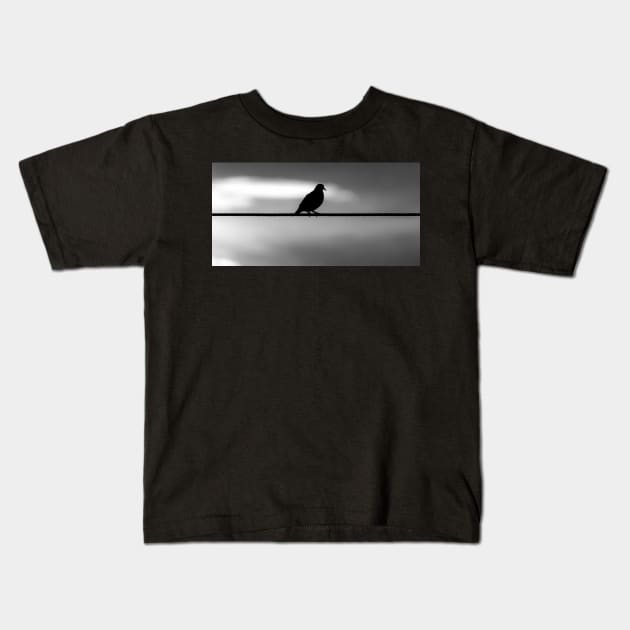 pigeon Kids T-Shirt by rickylabellevie